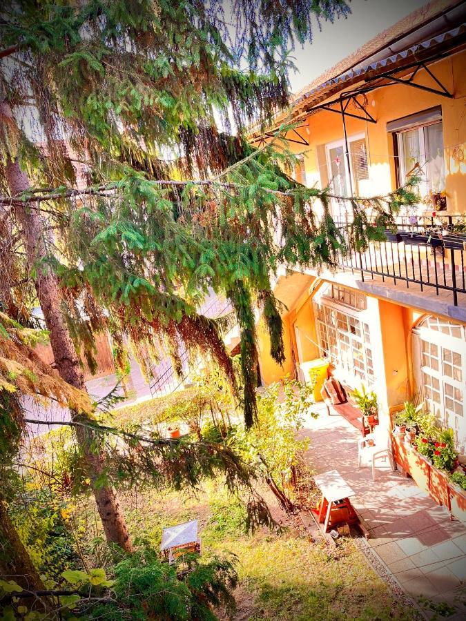 Green Apartman Eger Exterior photo